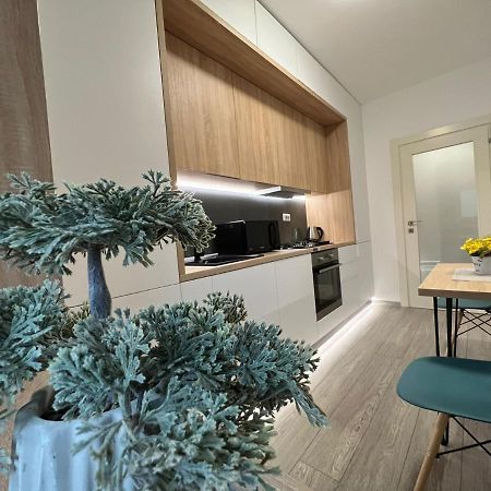 Apartmán Perfect Host Palas Centru Iasi Exteriér fotografie