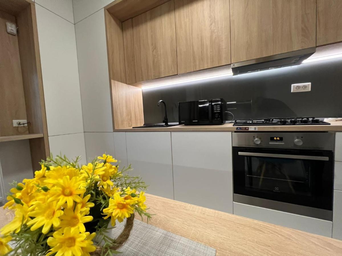 Apartmán Perfect Host Palas Centru Iasi Exteriér fotografie